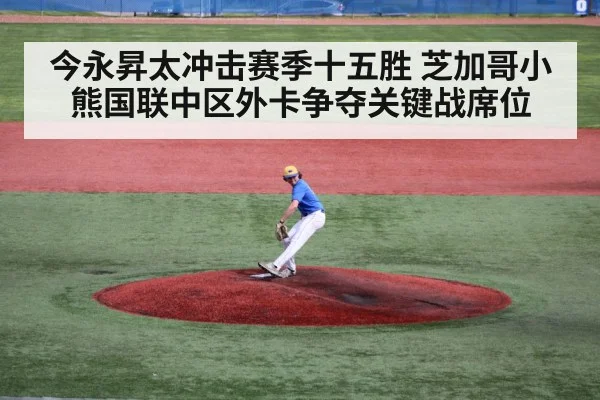 今永昇太冲击赛季十五胜 芝加哥小熊国联中区外卡争夺关键战席位