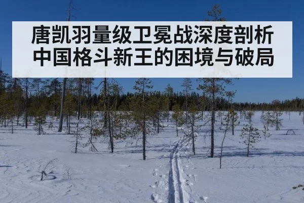 唐凯羽量级卫冕战深度剖析中国格斗新王的困境与破局